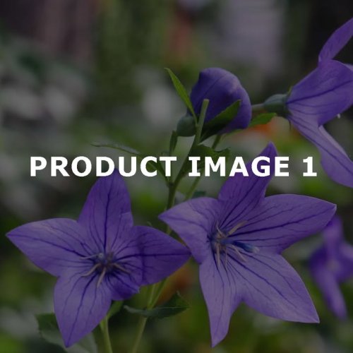 Product Name